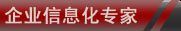 企業信息化專家